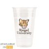 P-CCC24-product-NEW