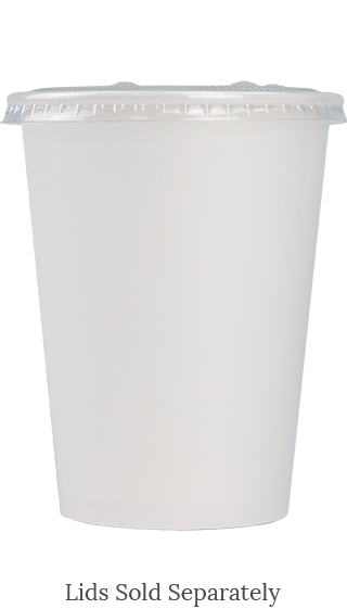 Blank 12oz Paper Cold Cup With Lid